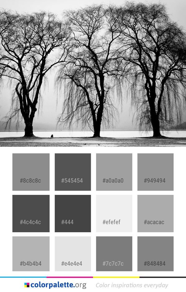 Tree Black And White Woody Plant Color Palette