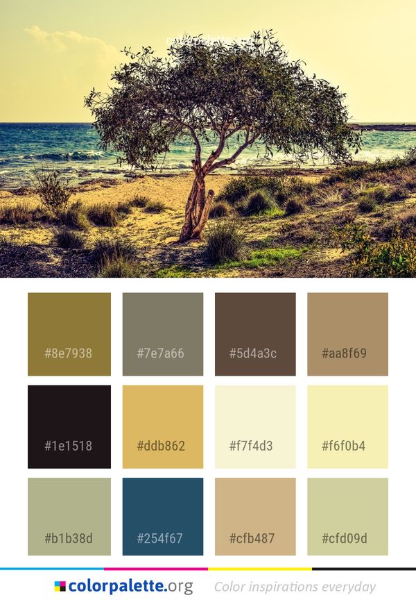 Tree Ecosystem Vegetation Color Palette