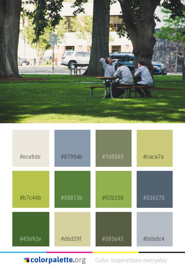 Tree Plant Woody Color Palette