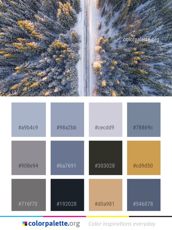 Tree Water Feature Geological Phenomenon Color Palette