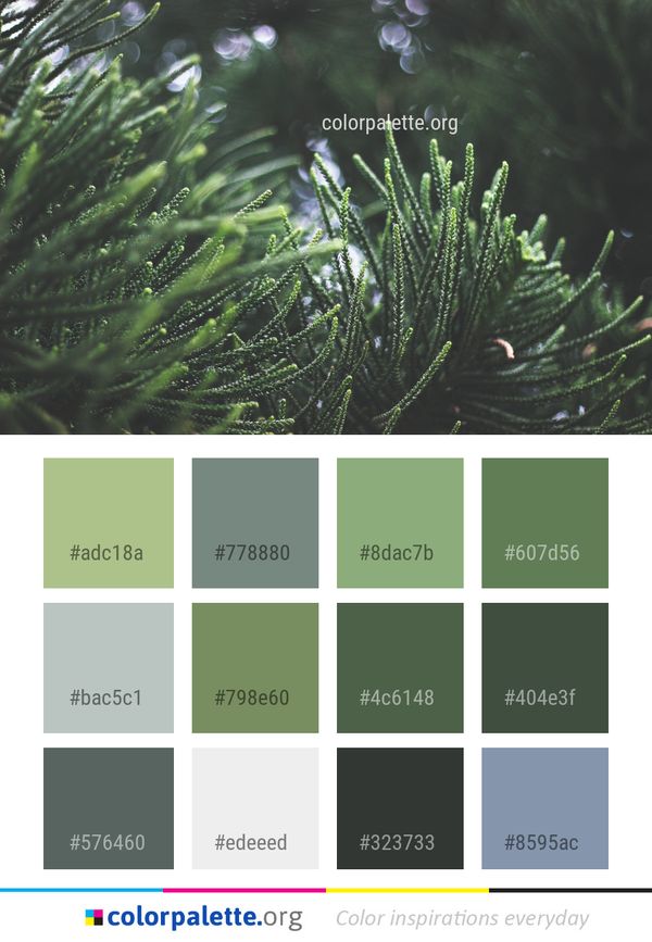 Vegetation Water Tree Color Palette