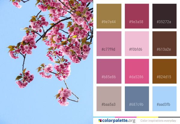 Blossom Flower Pink Color Palette