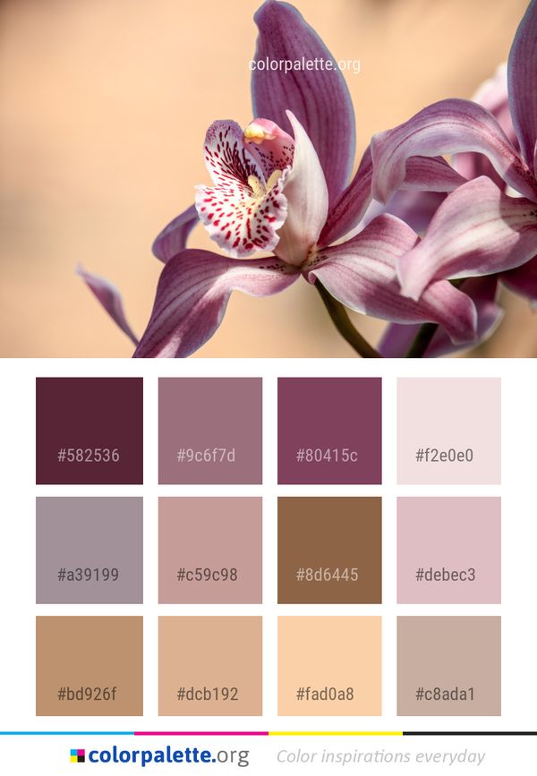 Flower Pink Flora Color Palette