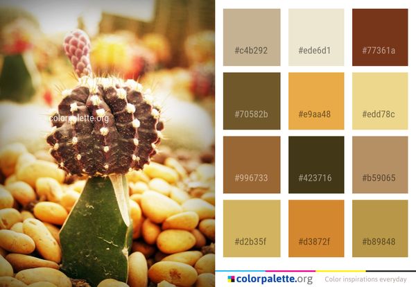Food Vegetarian Superfood Color Palette