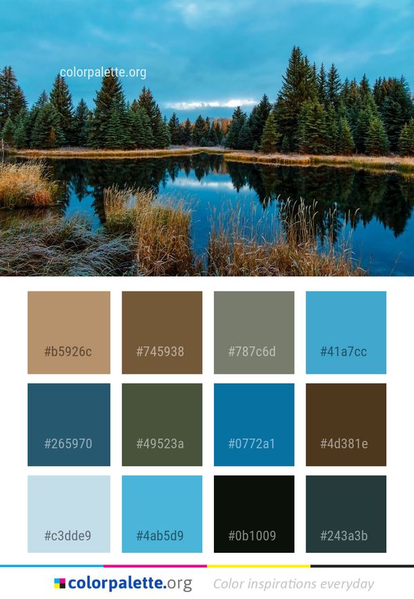 Reflection Nature Water Color Palette