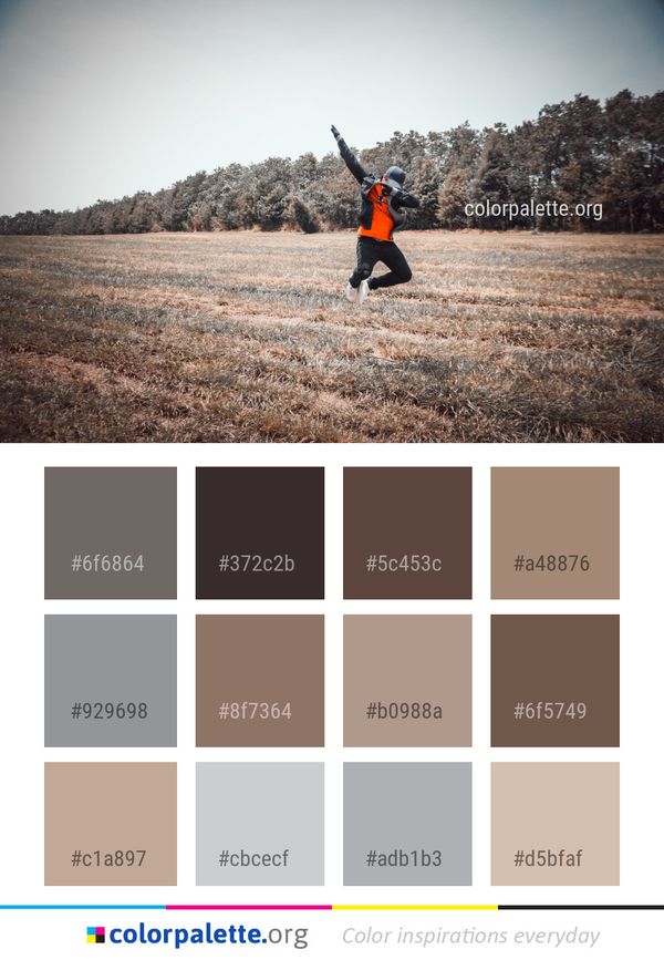 Sky Field Tree Color Palette