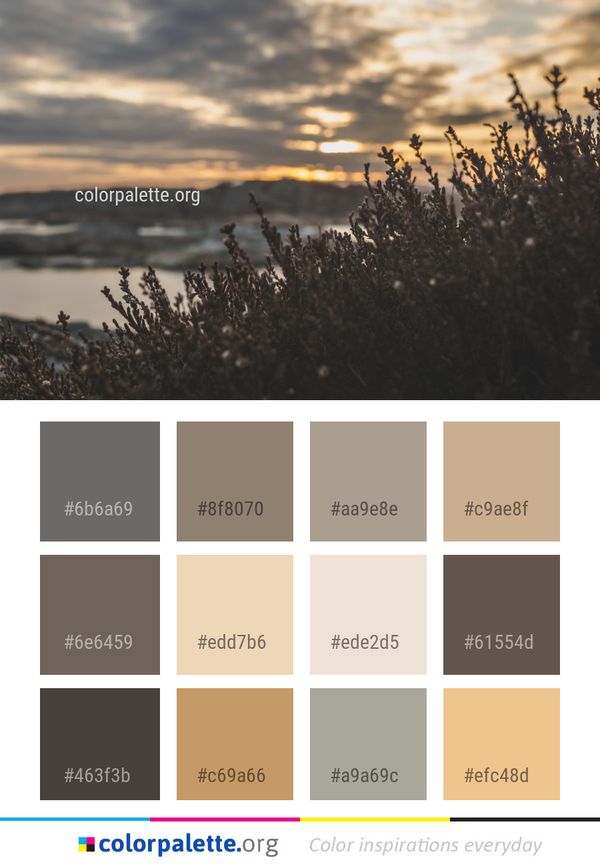 Sky Water Sunset Color Palette