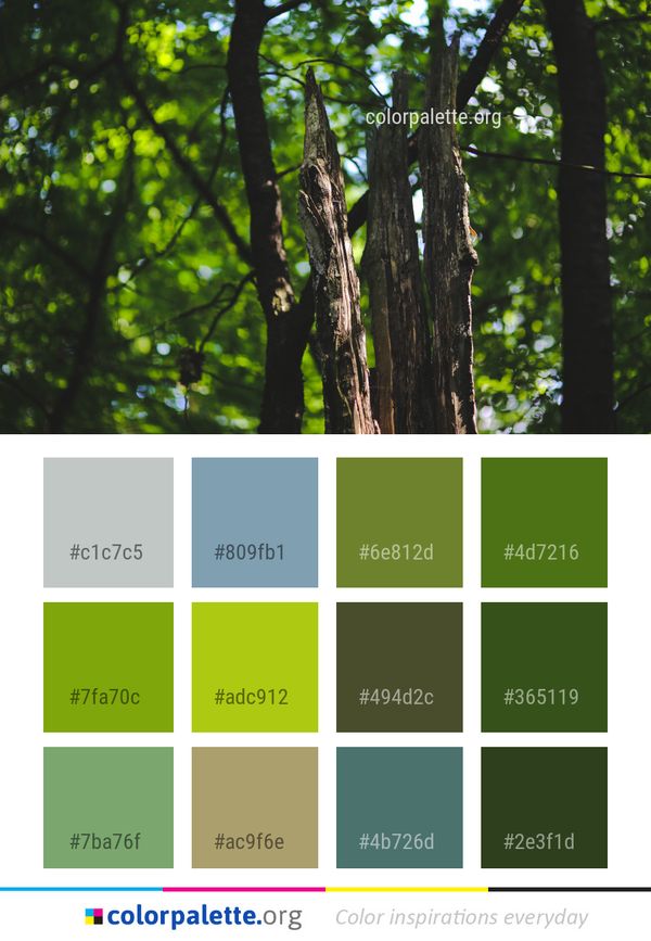 Tree Nature Green Color Palette