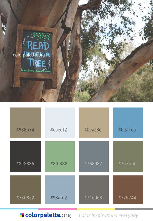 Tree Wood Plant Color Palette