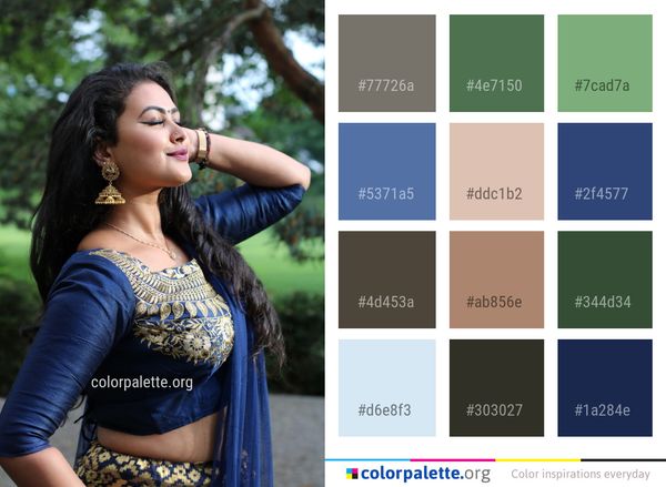 Abdomen Trunk Beauty Color Palette