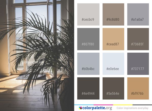 Arecales Palm Tree Plant Color Palette