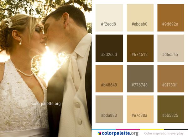 Bride Gown Photograph Color Palette