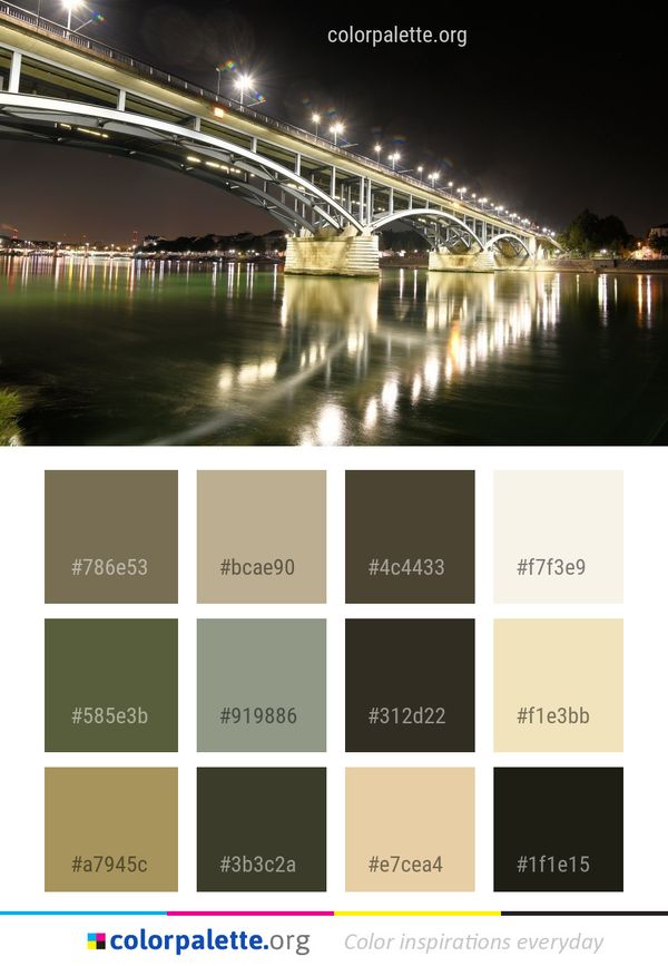 Bridge Reflection Night Color Palette