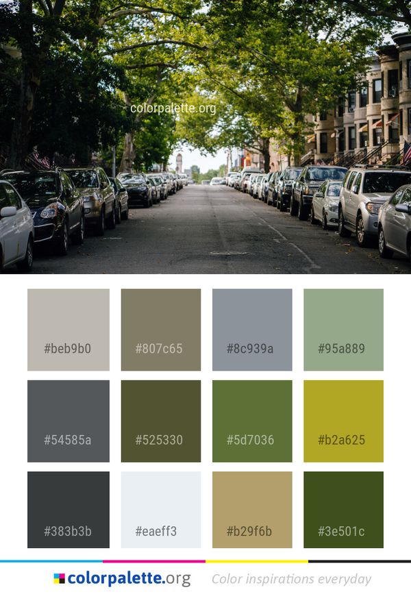 Car Road Plant Color Palette
