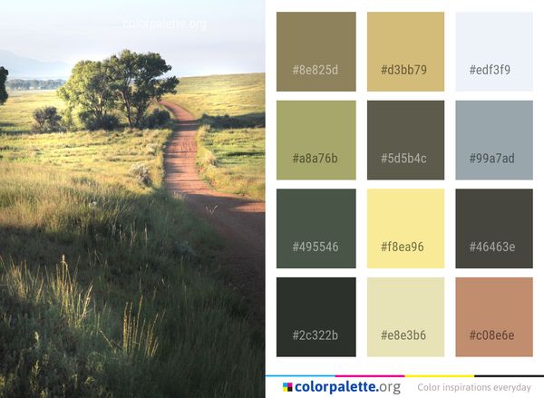 Ecosystem Grassland Grass Color Palette