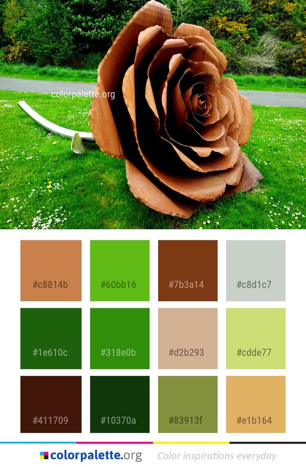 Grass Plant Leaf Color Palette