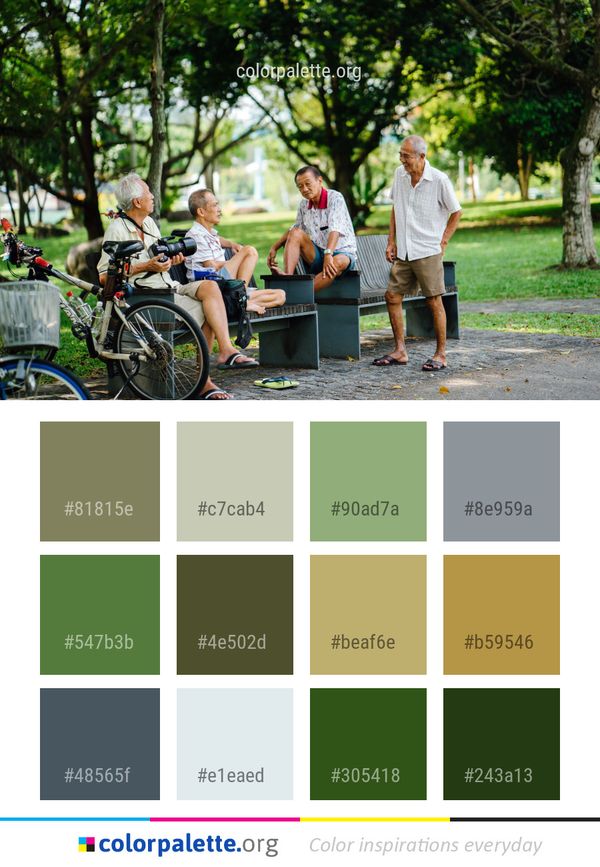 Land Vehicle Bicycle Color Palette