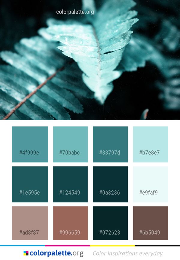Leaf Close Up Freezing Color Palette