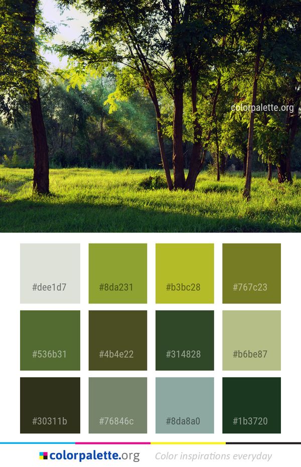 Nature Grassland Green Color Palette