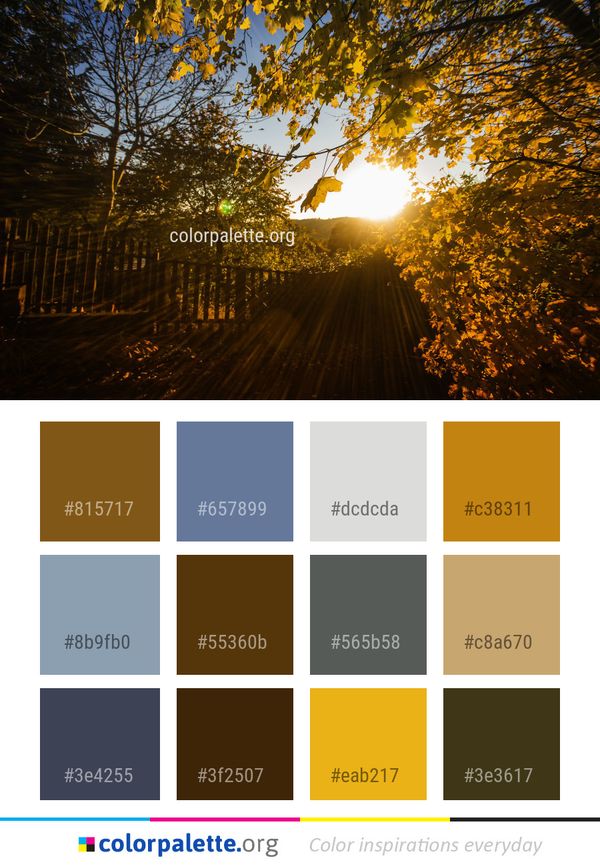 Nature Leaf Sky Color Palette
