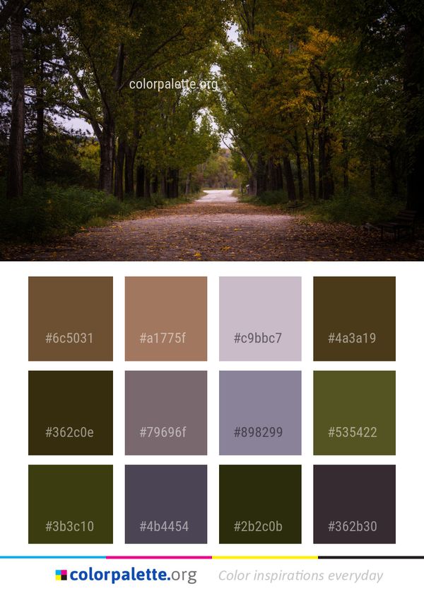 Nature Woodland Path Color Palette