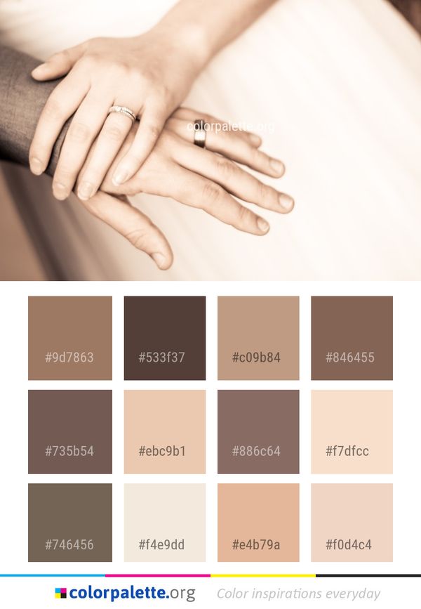 Ring Jewellery Hand Color Palette
