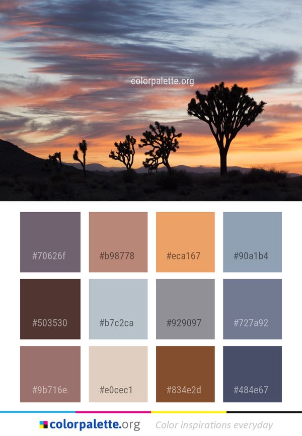 Sky Cloud Ecosystem Color Palette