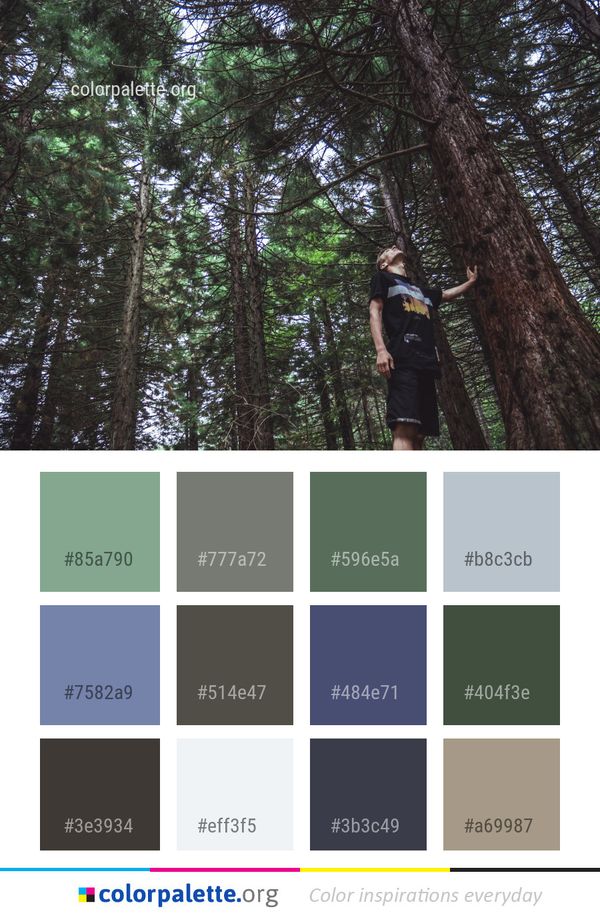 Tree Nature Green Color Palette