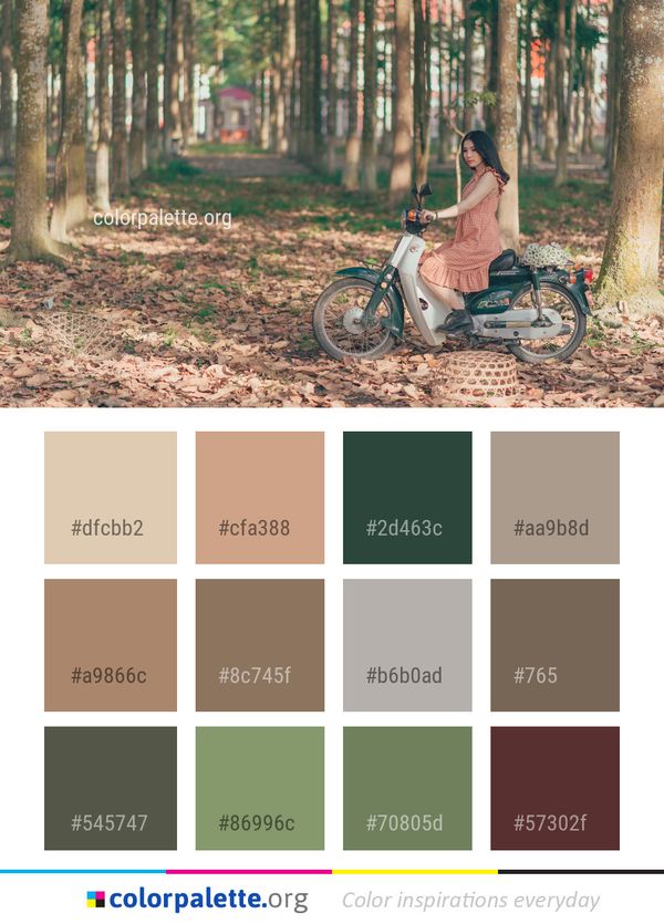Tree Woody Plant Color Palette
