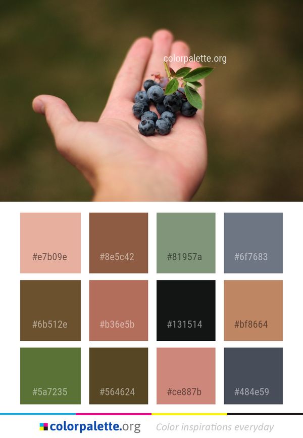 Berry Fruit Blackberry Color Palette
