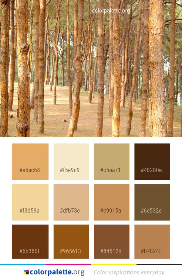 Ecosystem Grove Woodland Color Palette