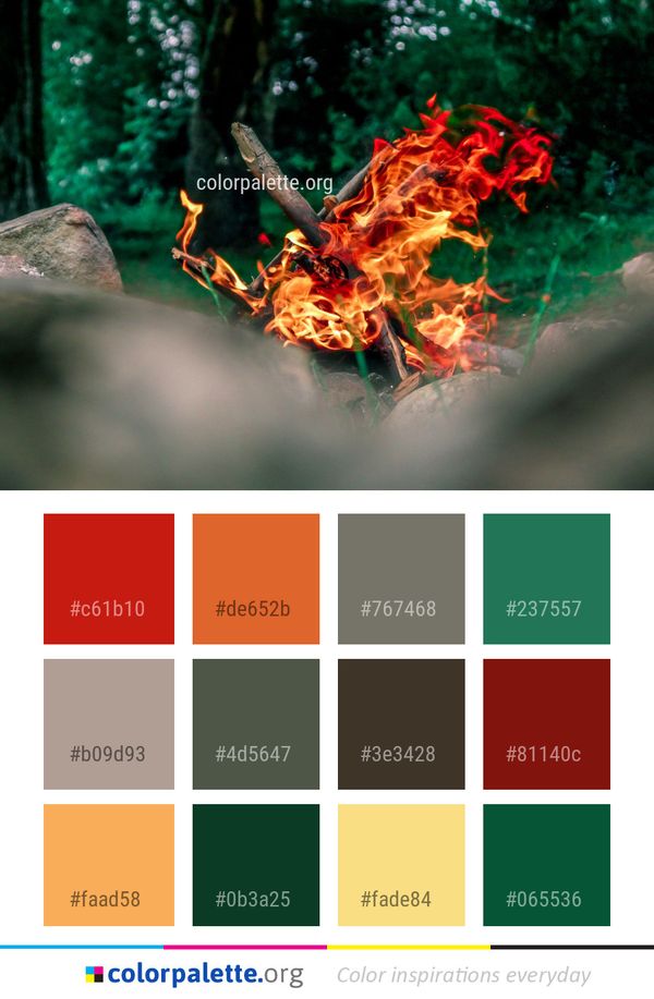 Flora Leaf Plant Color Palette