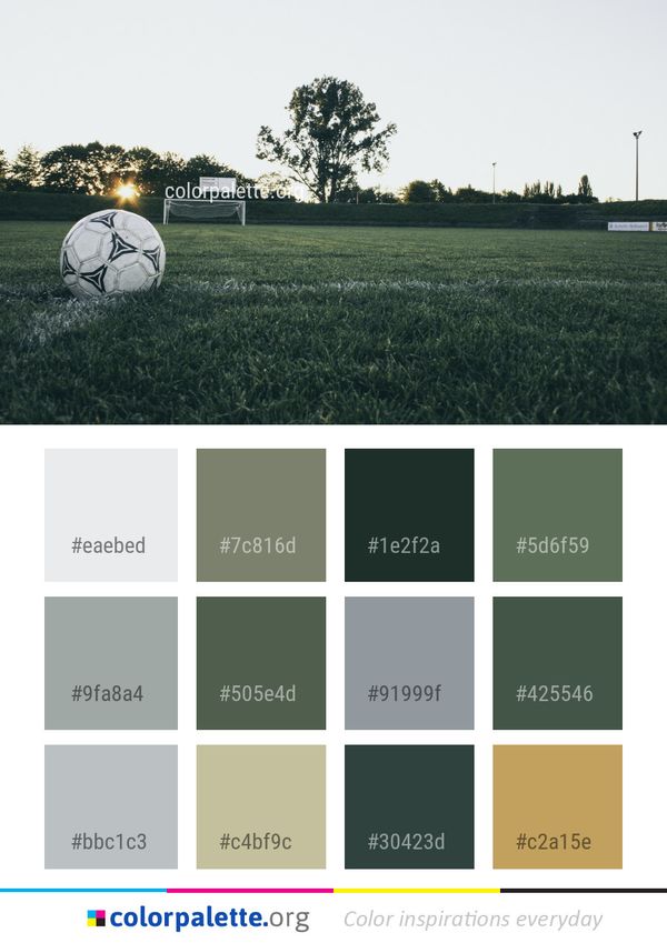 Football Grass Field Color Palette