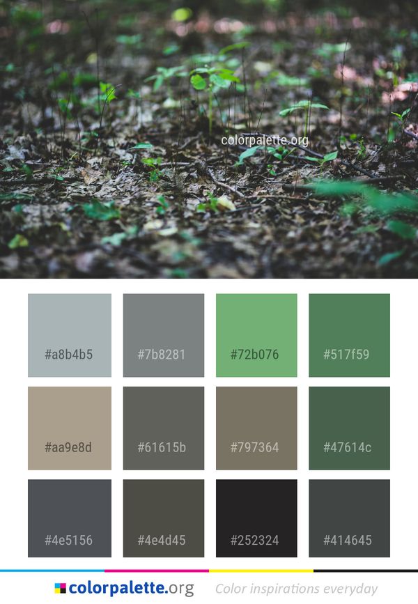 Green Vegetation Leaf Color Palette