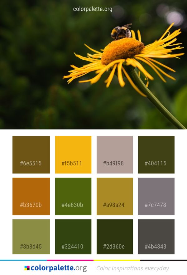 Honey Bee Flower Color Palette