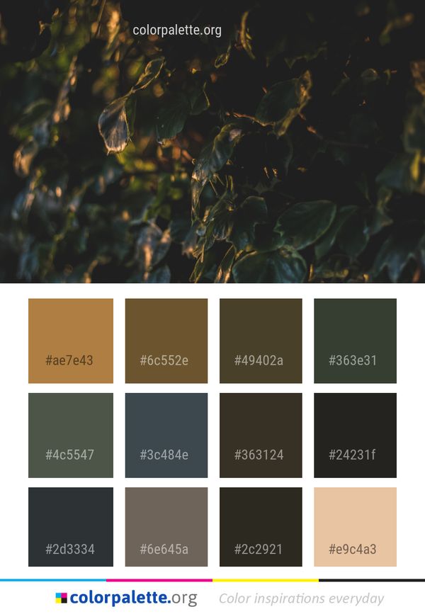 Nature Leaf Water Color Palette