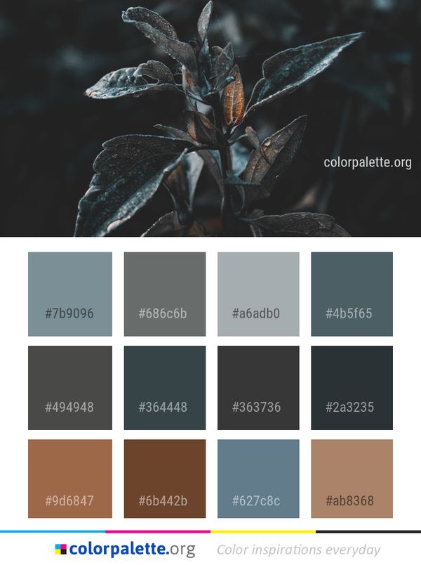 Plant Leaf Macro Photography Color Palette