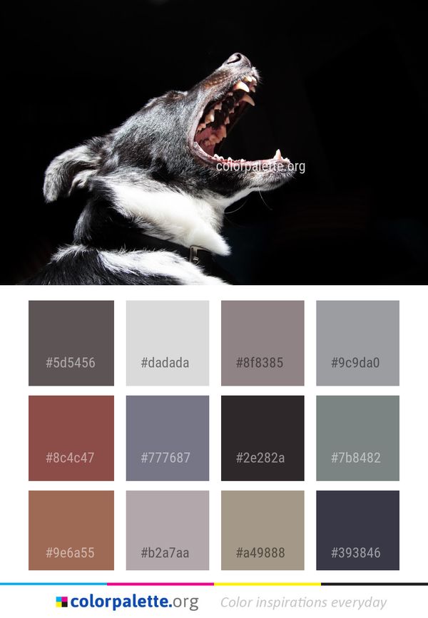 Snout Aggression Organism Color Palette