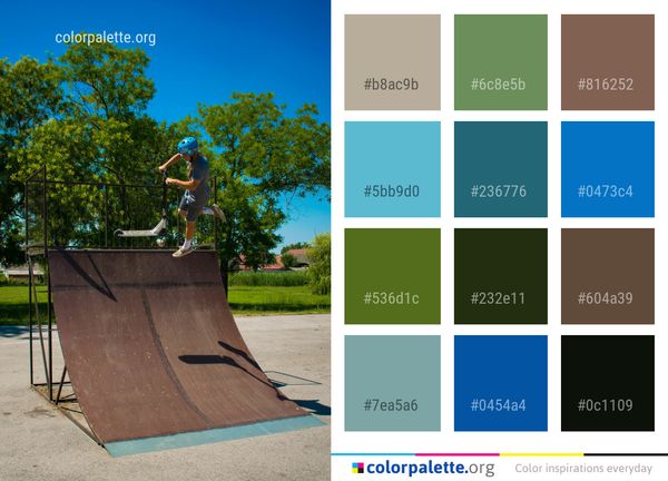 Tree Plant Skateboarding Color Palette