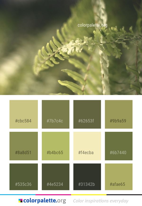 Vegetation Leaf Plant Color Palette