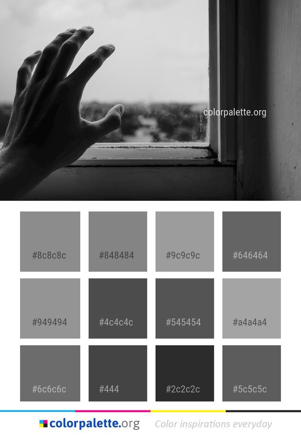 White Black Photograph Color Palette