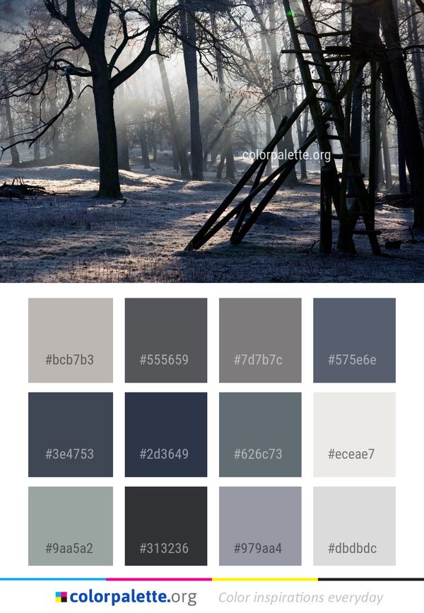 Winter Tree Frost Color Palette