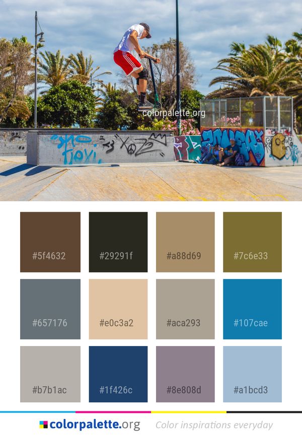 Boardsport Skateboard Skateboarding Color Palette