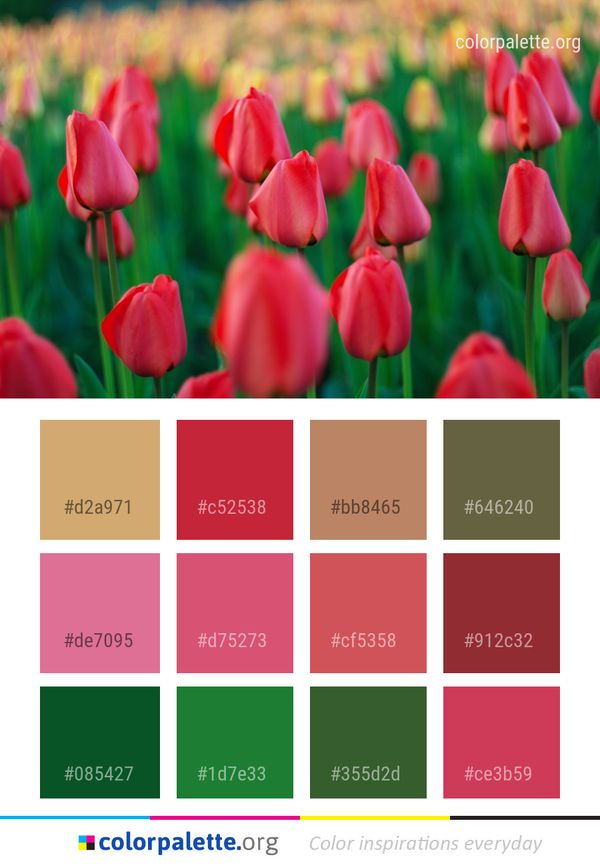 Flower Red Plant Color Palette