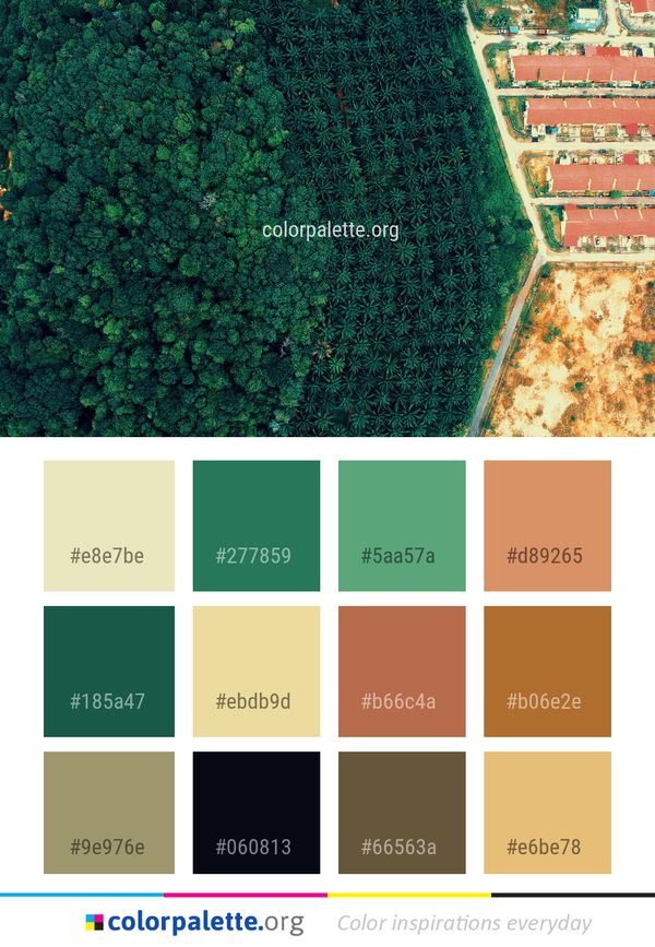 Green Aerial Photography Tree Color Palette