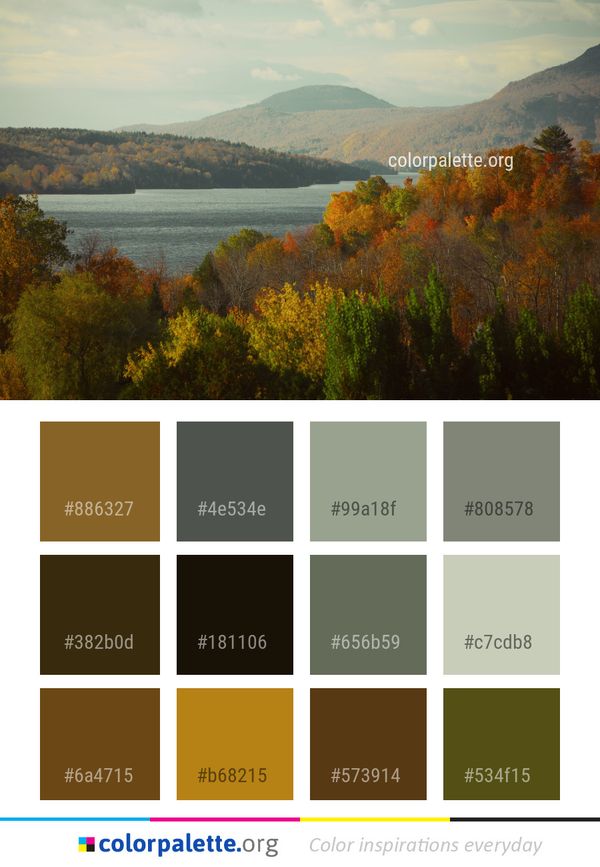 Leaf Nature Autumn Color Palette