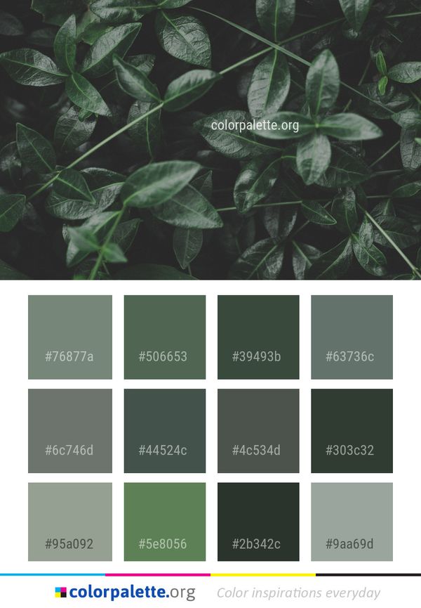 Plant Leaf Flora Color Palette