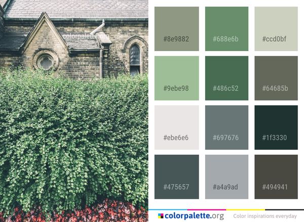 Plant Tree Leaf Color Palette