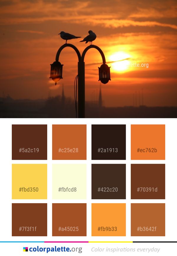Sky Street Light Sunrise Color Palette