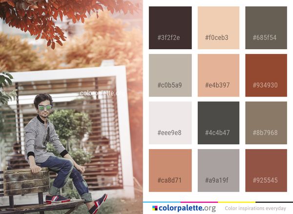 Tree Cool Fun Color Palette